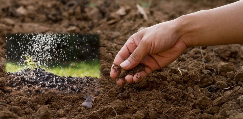 Agriculture péri/urbaine | Booster Associatif & Agripreneur
