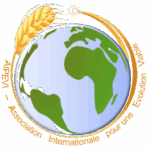 Icône de site