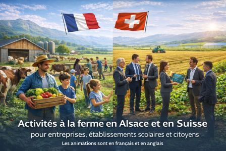 Activités à la Ferme